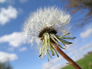Je blijven verwonderen