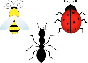 Kriebelbeestjes in de tuin