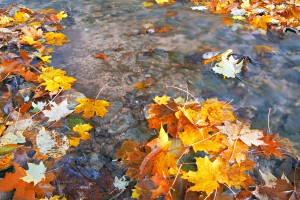 ‘Berg van water’, mijn tuinbeeld