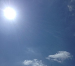 Weg met de kou: we gaan overwinteren!