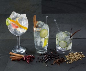 Terrasdrankje 2015 : Gin! (met tonicwater + limoen-citroen-komkommer enz)